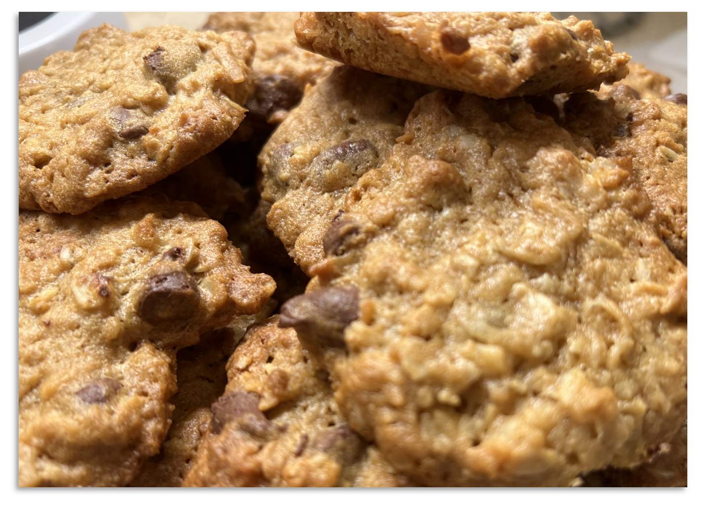 Peanut Butter Oatmeal Chocolate Cookies